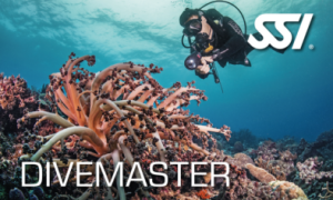 Divemaster