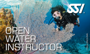 Open water instructor