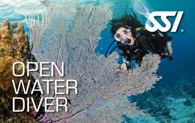 open-water-4c3ef5e-7370-4975-ae84a9d2cca92d5a