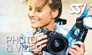 Digital Photo and Video