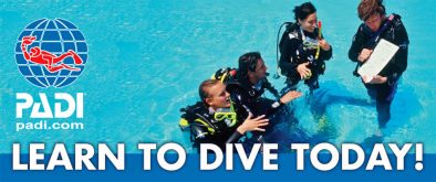 scubadiver