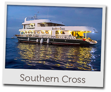 southern-cross-babor-home